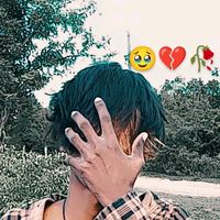 user85466496