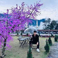 nhạc nền - thuguinguoi79