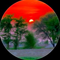 punjabiculture226