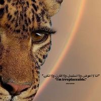 nasra_856