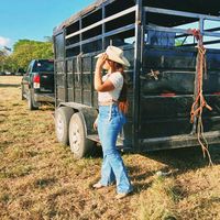 gb_2_3zenaida