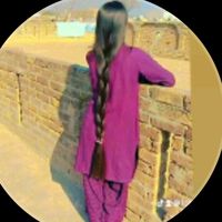shaina9487