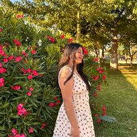 lam.aurora_