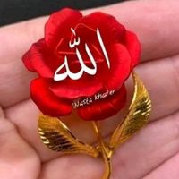 user9095281466821