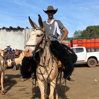 ronaldodecamposjunior