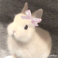 thoxinhdep2k2