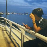 original sound - Fox Zzz