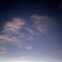 renn10077