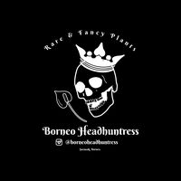 borneoheadhuntress