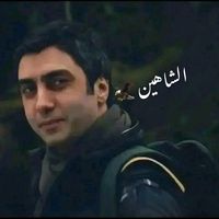 shahin.5.8