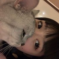 オリジナル楽曲 - 人見知り界隈