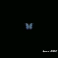 thuflaquita498