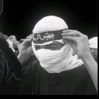 nsar__313