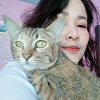 เสียงต้นฉบับ - ช่างเกลือ