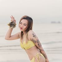 nut_ty2802