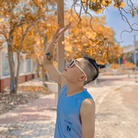 original sound - congthephu