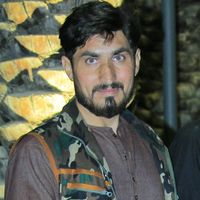 adildogar3111