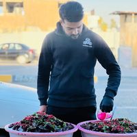 hamody..23