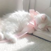 girl_rahaff14.7