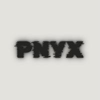 pnyx54