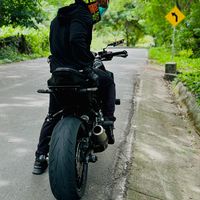 javierns.01