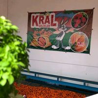 kral.tarim