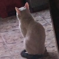 lauarboleda8