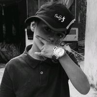 kasa_537