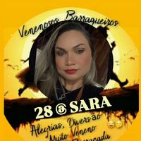 saracoutinhocc225