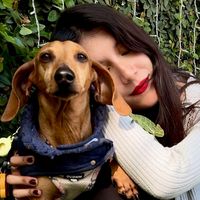 unperritollamado_milo