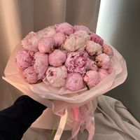 nena_niema