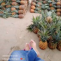 jackyzmilang3