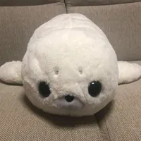 しね