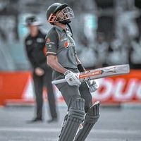 babar.fan.edits