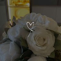 faiza_barwari