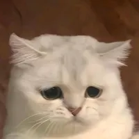 Ng Thu Hươngg