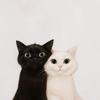 suara asli - ellcaallv