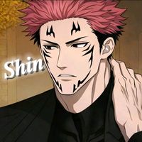 shin.jak