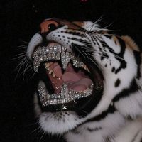 lafresahd