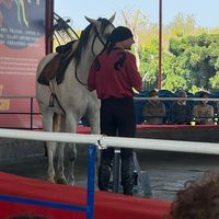 原聲 - happiest_5321