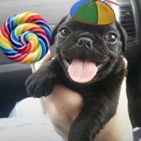 original sound - .musica85