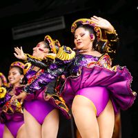 shirnegrita08