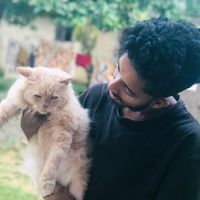 mr_firnu_01