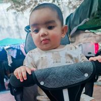 chithtet3011