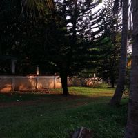 katy_lls2