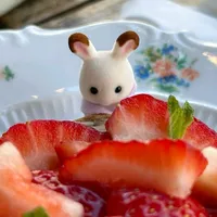 original sound - prelovedbyvelle