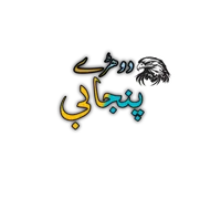 original sound - punjabi_dhory2