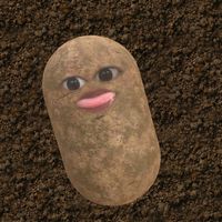 sueowyaww3