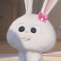 rubymo_