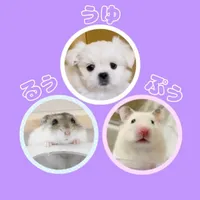 original sound - ruupuuuyuhamuwan